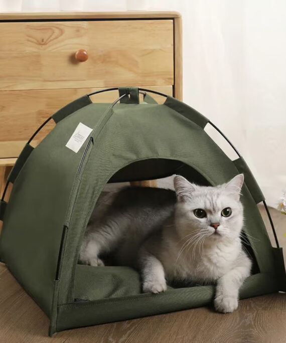 Telt til kæledyr