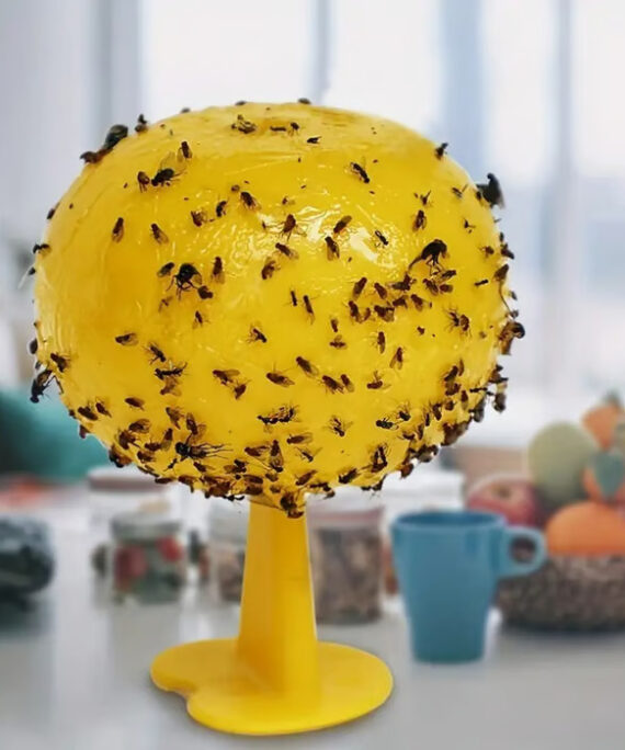 Bananfluefælde (3 stk.)