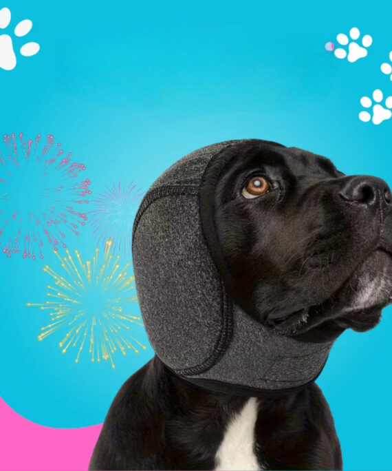 Dog ear protection against loud noises