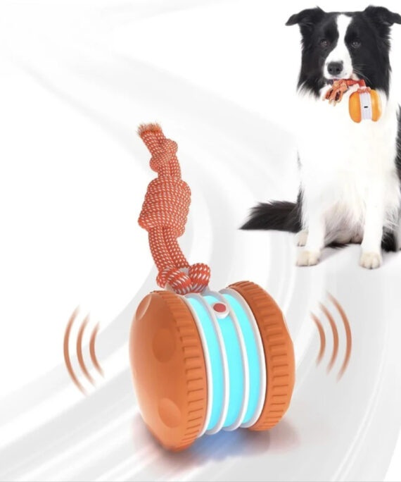 Interaktiv hundeball