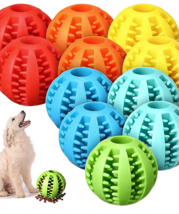 Hundeball med godbitutdeling