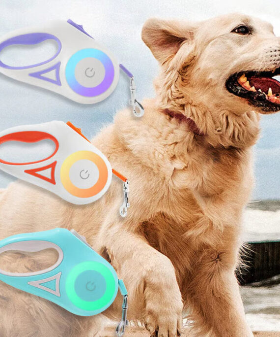 LED pet leash