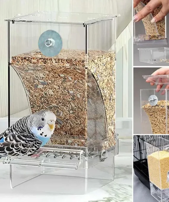 Automatic bird feeder