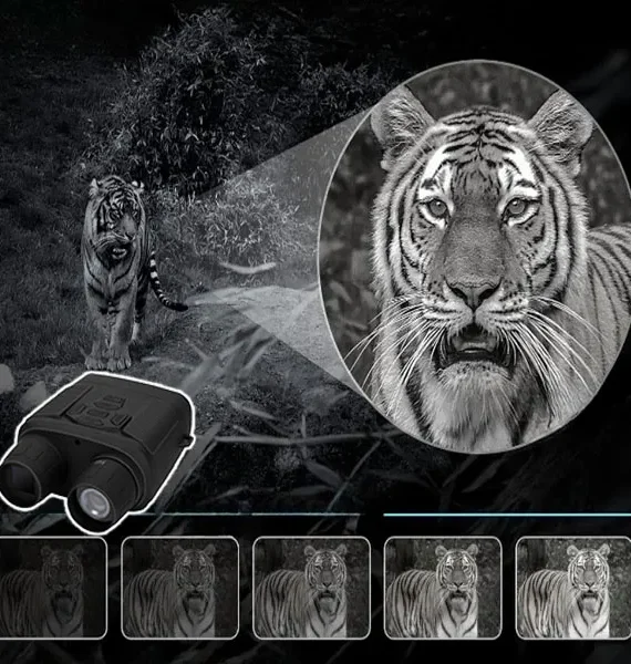 Night vision binoculars