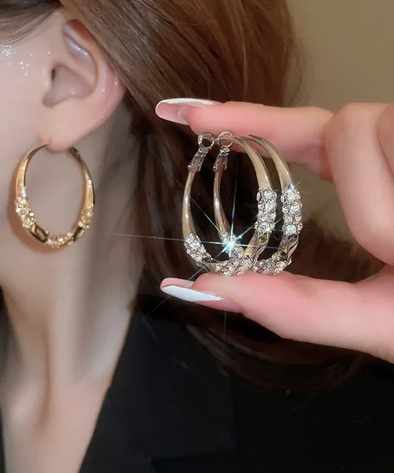 Round zirconia earrings