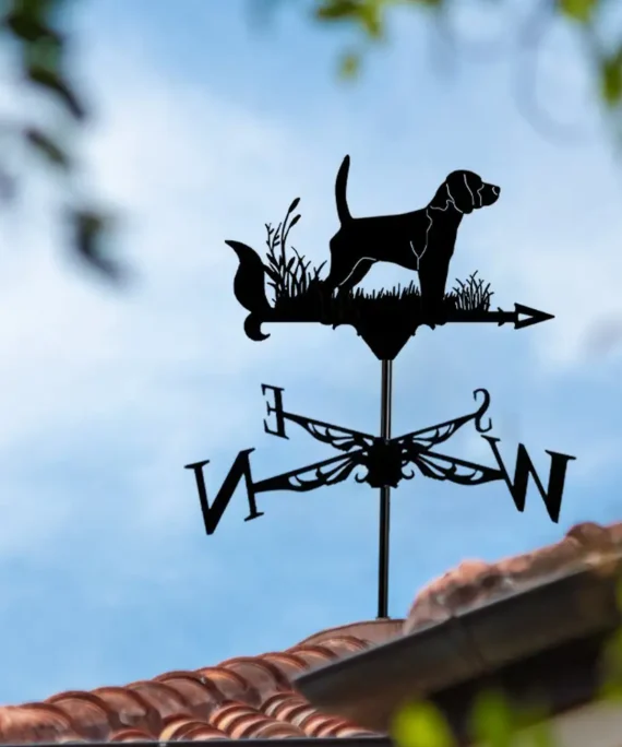 Weather vane