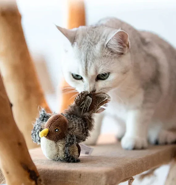 Cat toy with bird sounds
