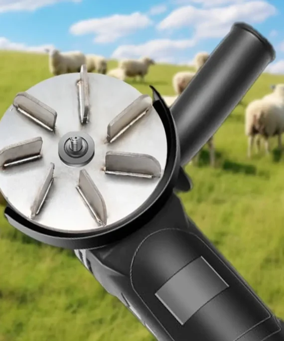 Animal hair removal disc