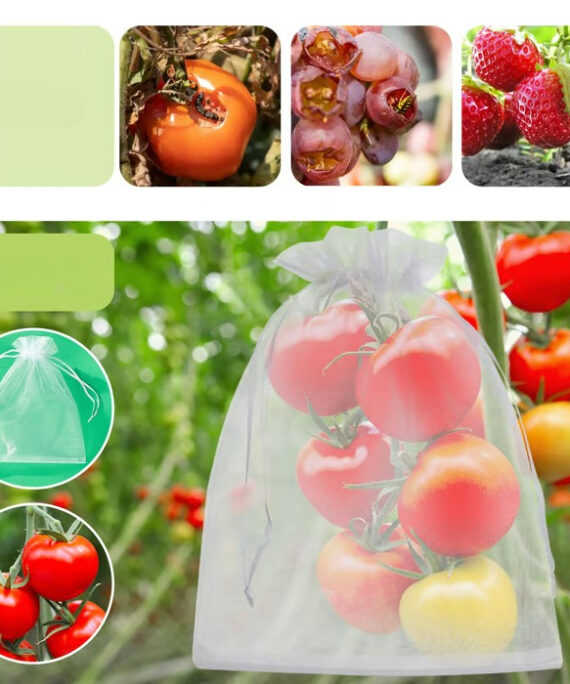 Fruit protection bags (100 pcs)
